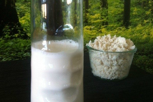 Hjemmelavet mandel-kokosmælk