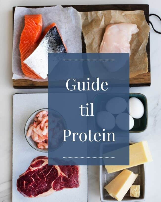 Protein guide - alt om protein - hvor meget protein skal man have?